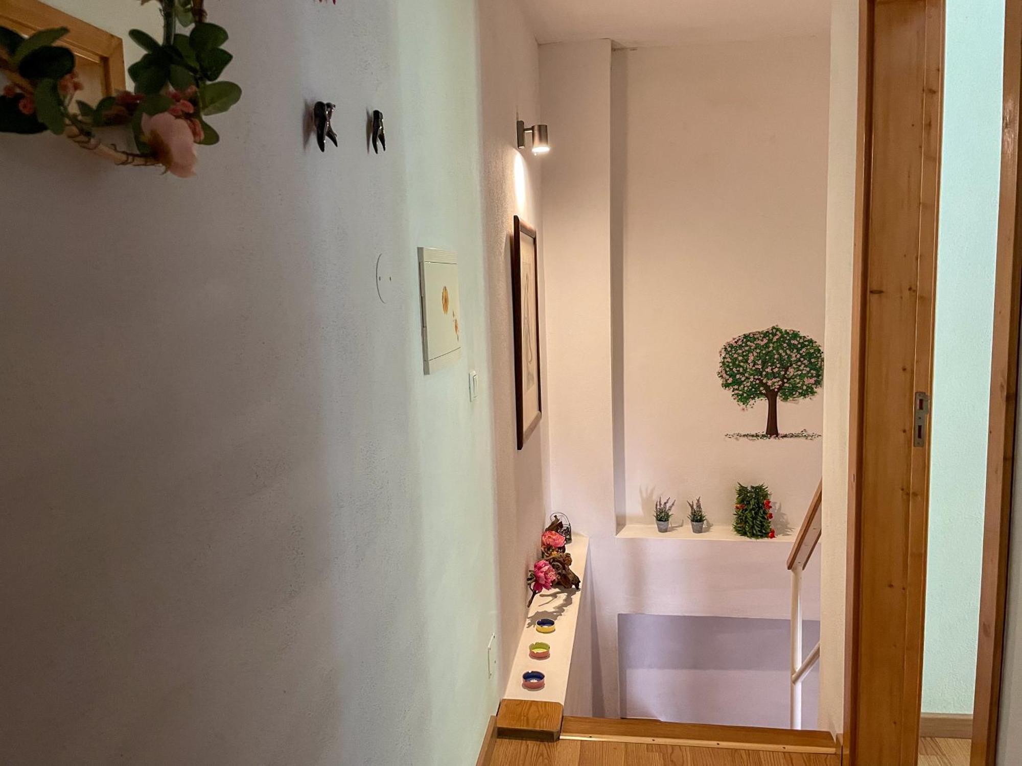 Apartment Away From Evora